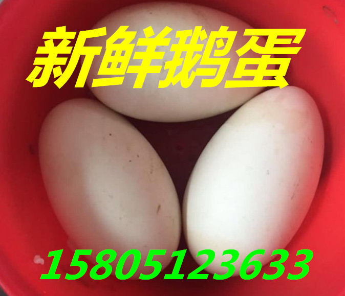 IrZ rZF(xin)ڶXһ