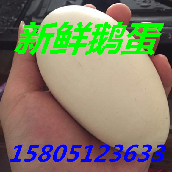 rZ rZFڶXһ