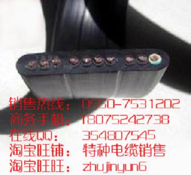 ؙC(j)| YFFBG 3*10mm2  I(y)a(chn) SֱN