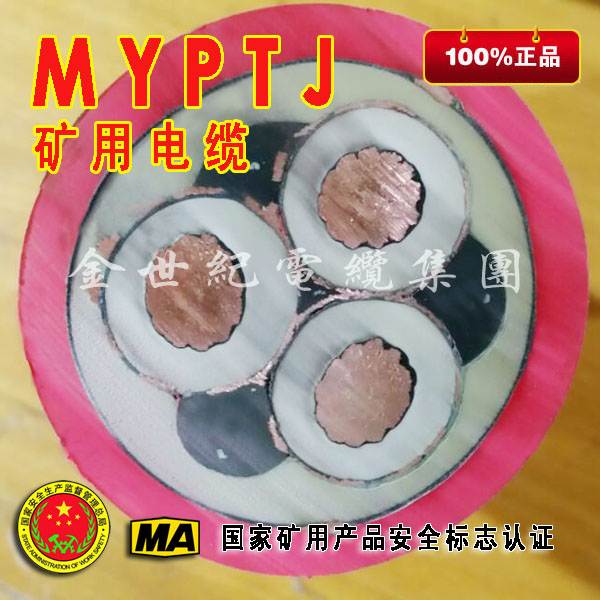 MYPTJ8.7/10kv늉˽o־ƵV|tɫ߉