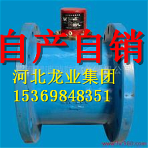 ʽDN100pn1.0ˮָʾ15369848351