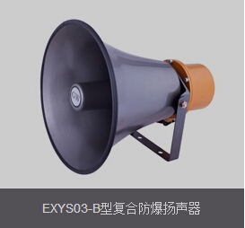EXYS03-B͏ͺϷP