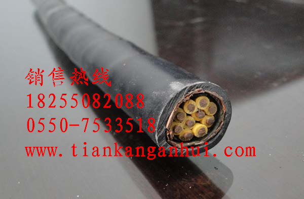 AFBPߜ،450/750V|S҃r|