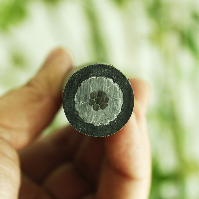 SֱNߵ͉ܿվJKLGYJ-1KV-240/30F؛