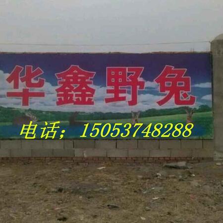 (j)혭h(hun)l(wi)O(sh)޹˾