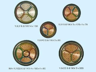 ZR-YJV߉|ZRYJV10KV|