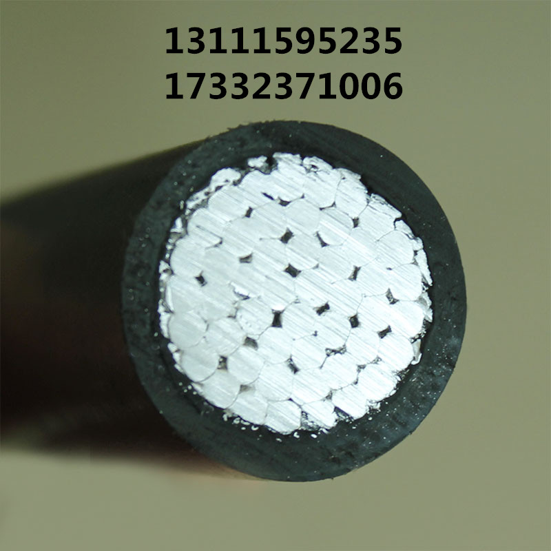 JKLGYJ-10KV-240Xоܿս^