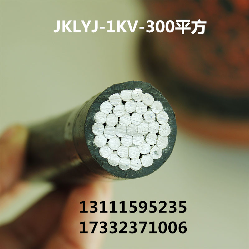 ܿս^ XоJKLYJ-1/10KV-300 
