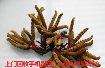 UǻնxĲ