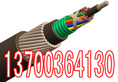 ^طN|ZMMPqˣͨӍ|