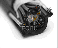 ECHU ܇|YFFB YFFBG CCCJ(rn)C |(zh)ɿ