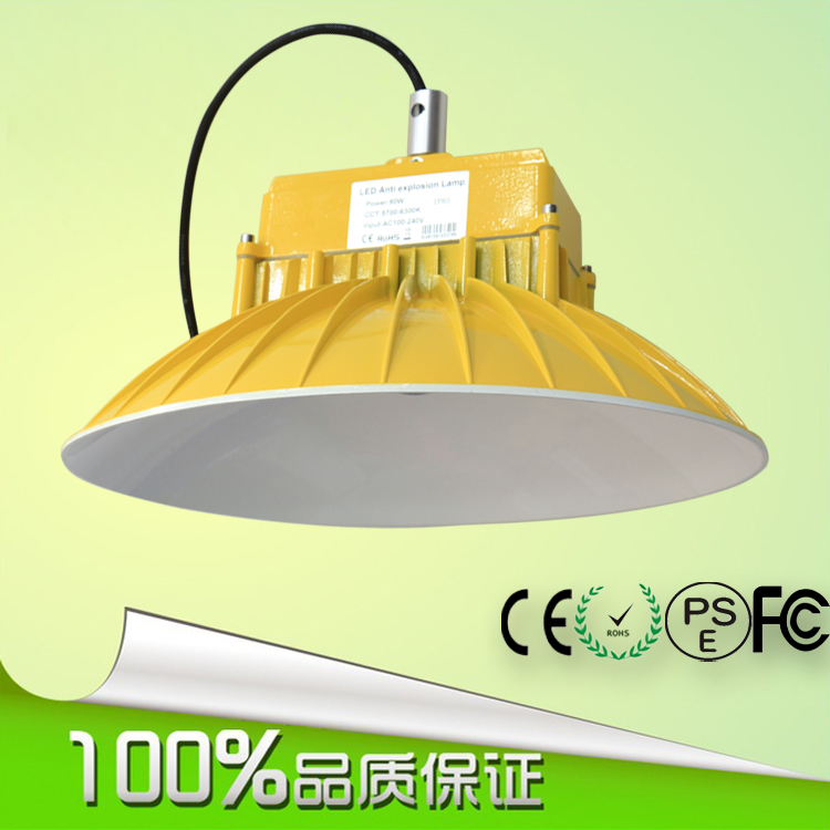 LEDV 80WVS 80WV LED(ji)ܟ