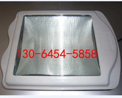 ѣⷺPD-GN8024-J250W IP65