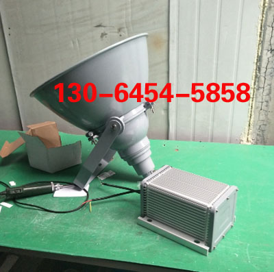 LHF2300Ͷ wʽͶ