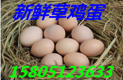 㽭вu ۲ur