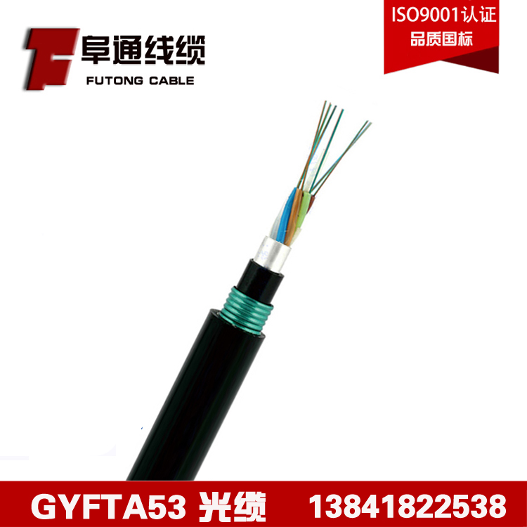 48оģwGYFTA53-48B1pzpo׷ǽٵz|