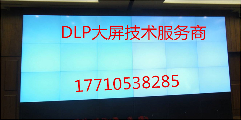 DLP@ʾԪS޴ĻϺSޱBDLPĻ坍m