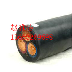 YH 1*35늺C|SҶX