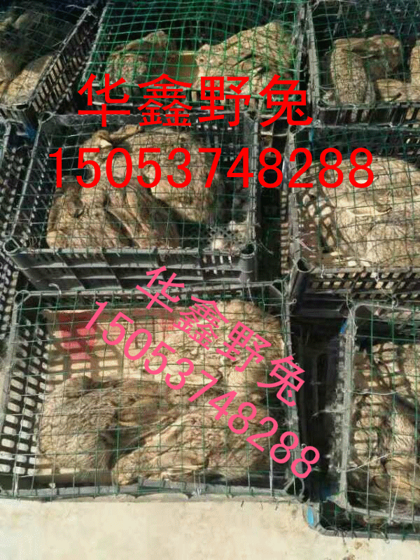 dҰ÷NI(mi)
