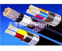 SYV-50-2l|SYV