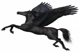 ˾ȫ