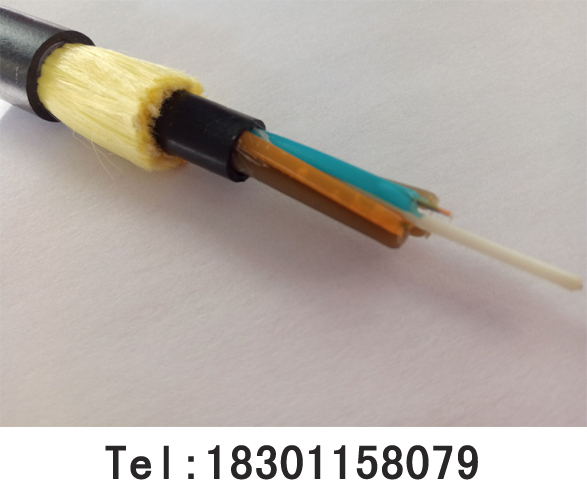 adss-24b1-300