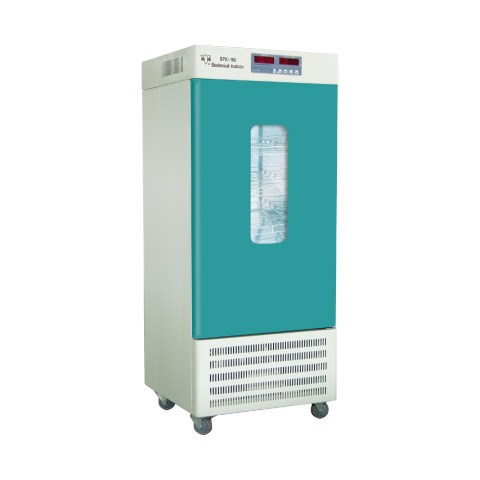 B SPX50 B IB̖