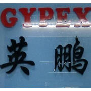 Vݰƭh(hun)Ƽ޹˾