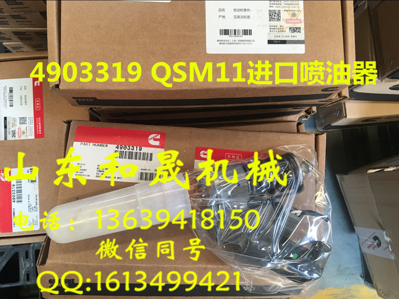 4903319 ˹QSM11l늙CÇ