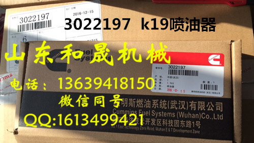 3022197 ˹K19l늙CM  ֱN