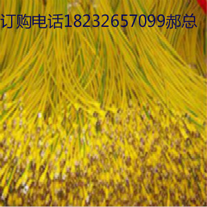 ýӵؾRV2.5ƽ׏5mm