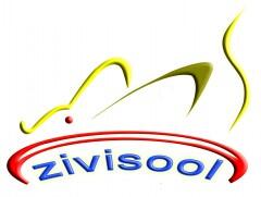 ǾSƼ޹˾