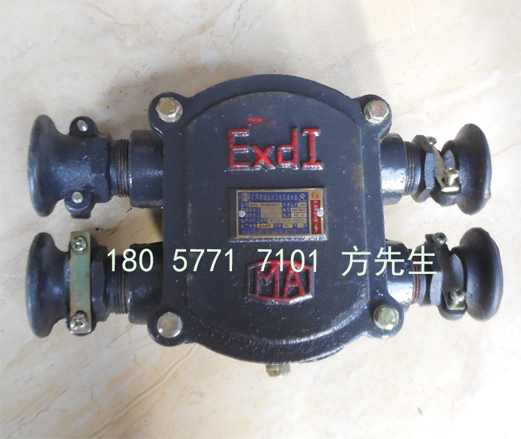 BHD2-40/660(380)-4TVø͵͉|Ӿ