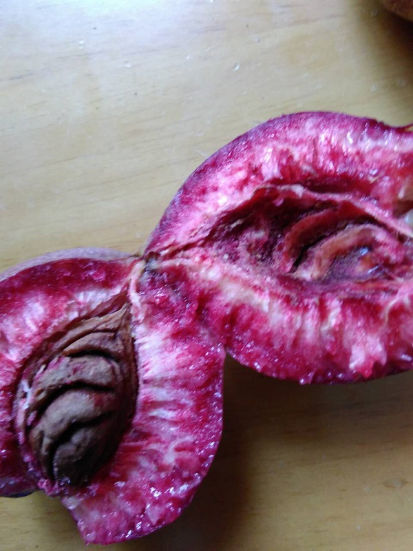 ľ