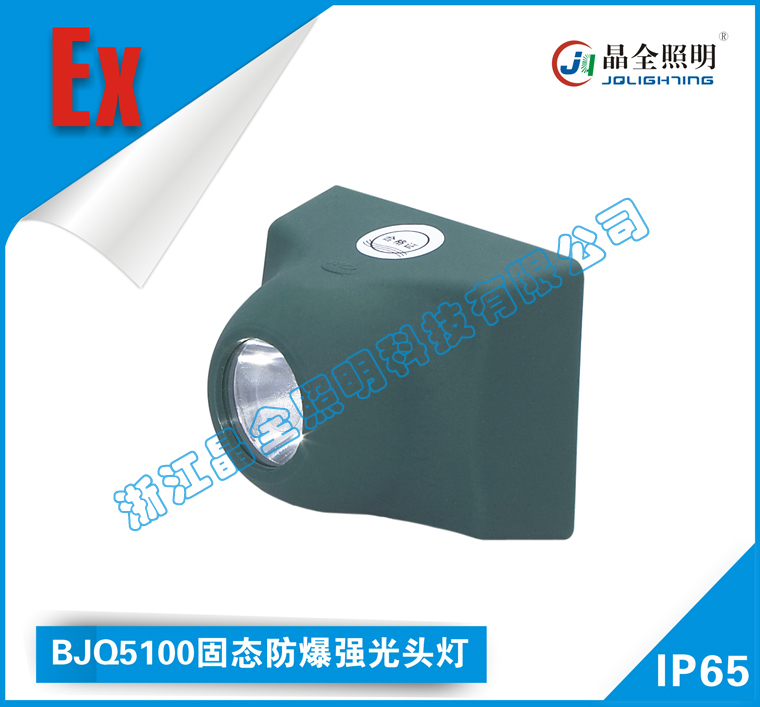 BJQ5100̑B^