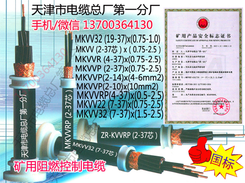 FXTPYV22zb̖|r