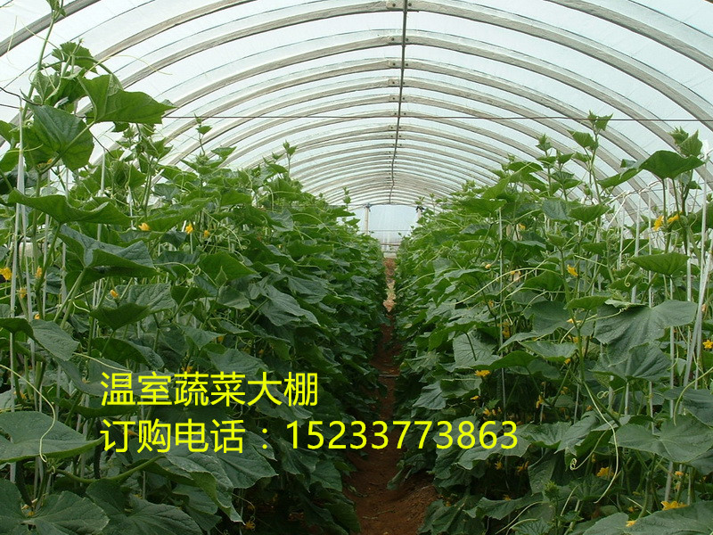 䓹ܴ̖(ho)Rȫ|(zh)(yu)r(ji)Qh(yun)I(y)Ƽӹ
