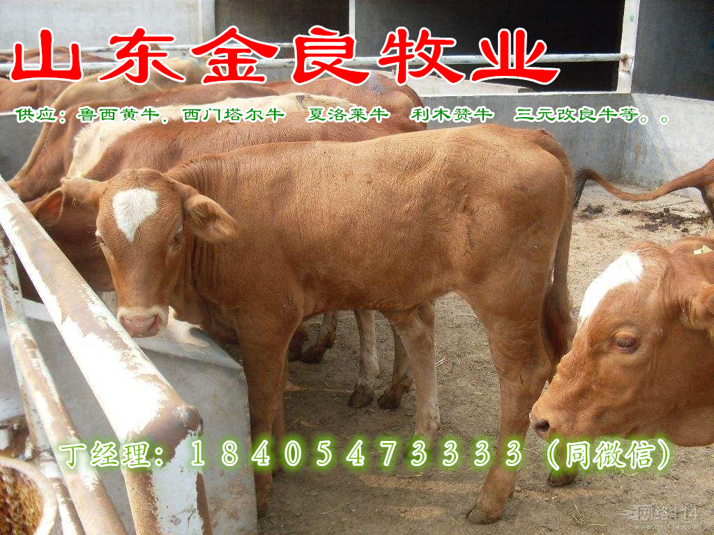 ţB(yng)ֳ(chng)ţr(ji) T(mn)ţكr(ji) Сţكr(ji)