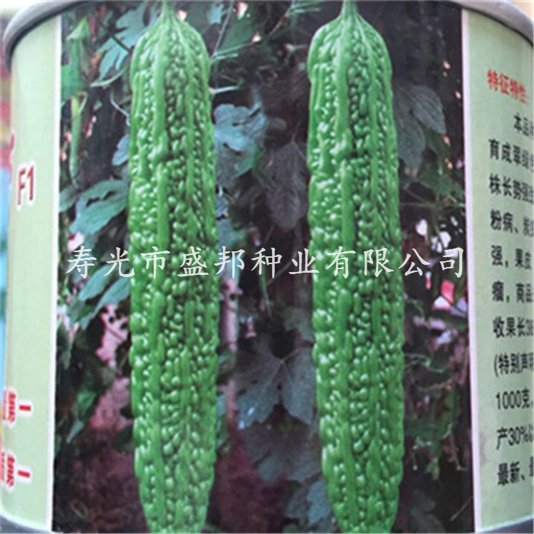 (yng)vF1sϷNӷN ޽ӿ Ը ߲˷NӷN