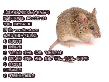 Ϻxؼg޹˾