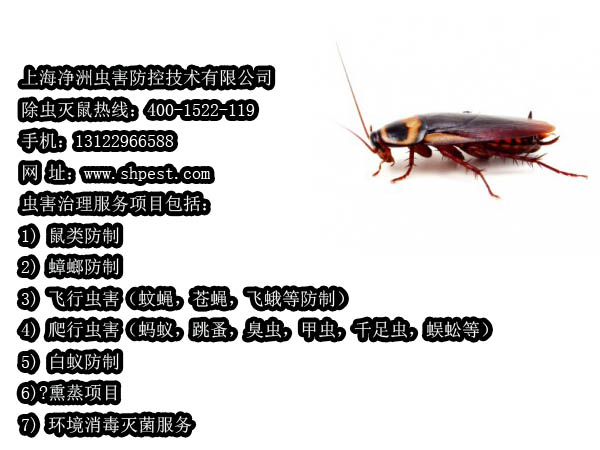 ϺI(y)x˾,Ϻ,Ϻ빫˾