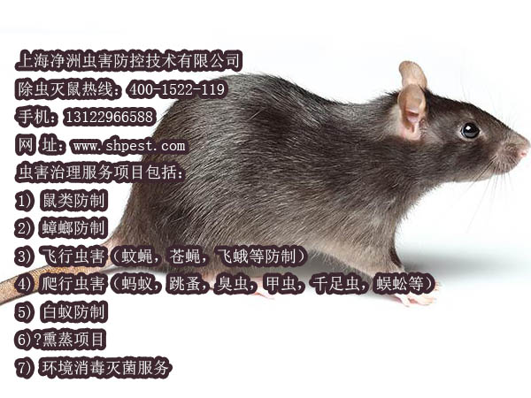 Ϻρ,Ϻρι˾,Ϻ˾