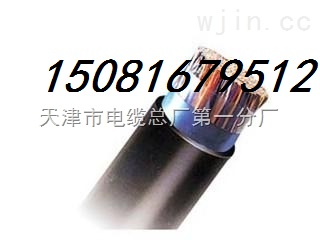 ZR-KVVP2 4*1.5̖ҎȫZR-KVVP2