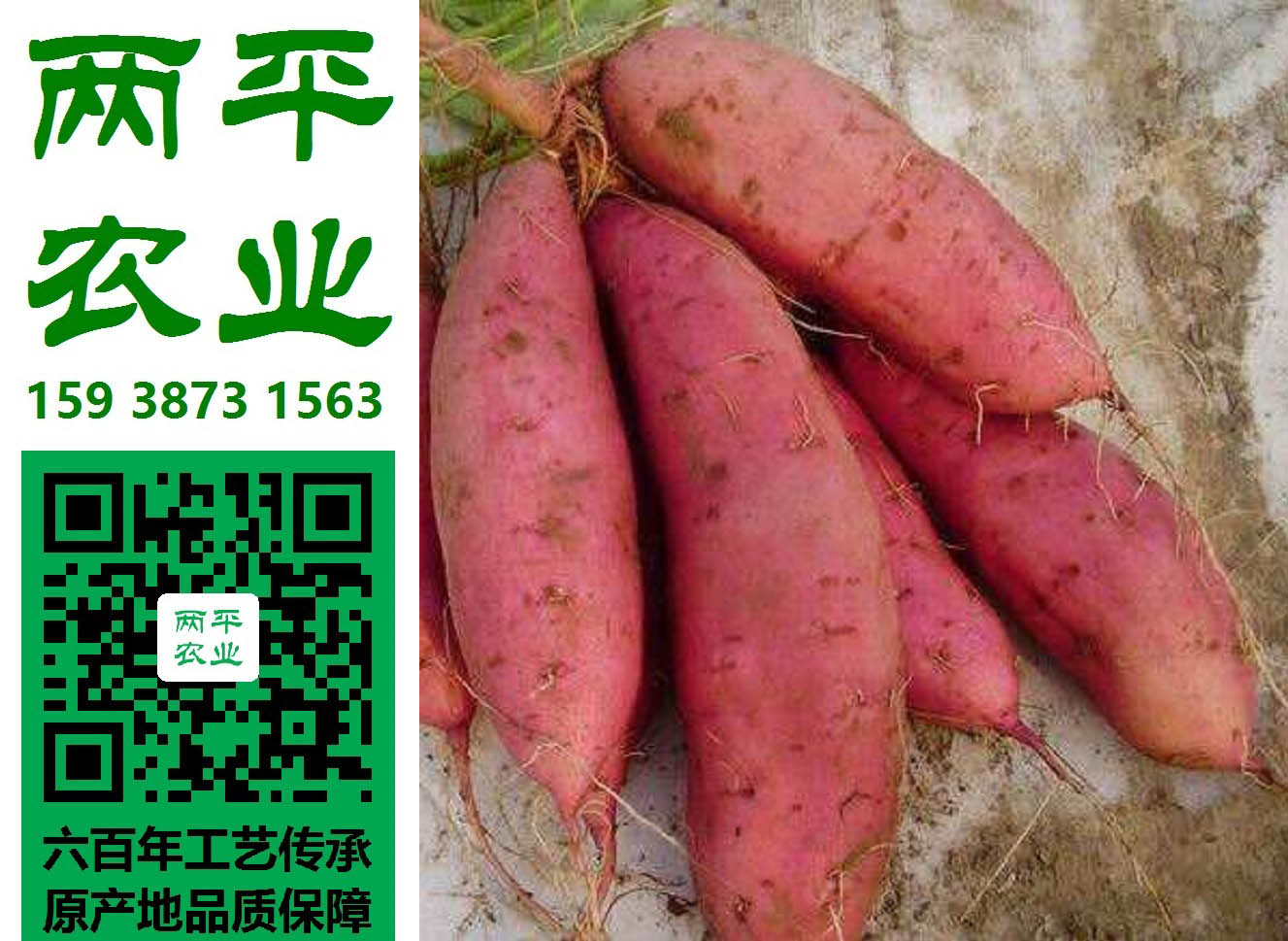 xǱ؂丣N۾Wj|TɫSlƽrI