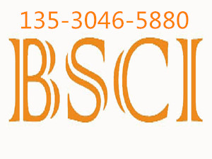 BSCISҪҕ ISO13485IATF16949ISO27001ԃ