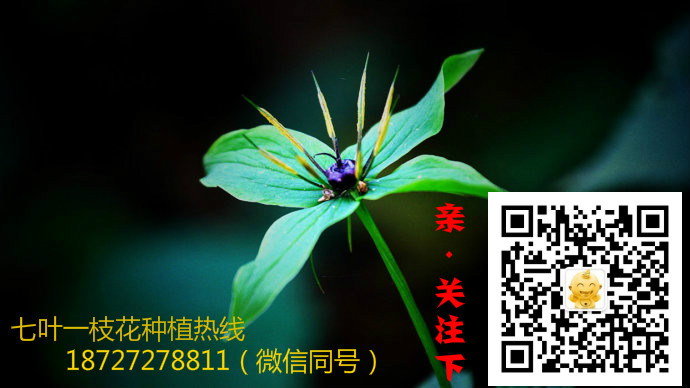 2018Nֲ(xing)ĿţƣؘǷNֲW(wng)