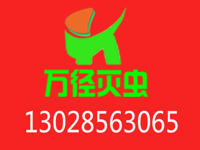 빫˾-fк