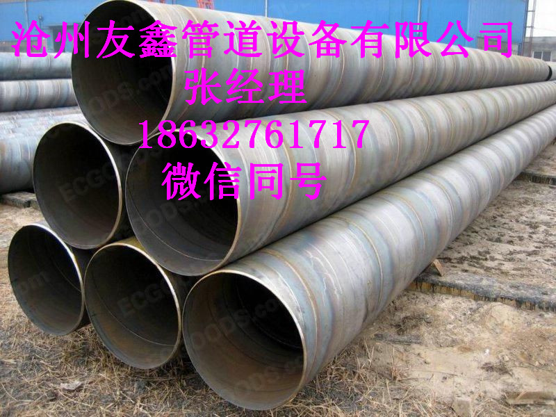 ݌I䓹܏S҈r