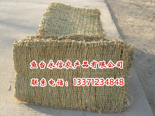 IaֱN|ݲK