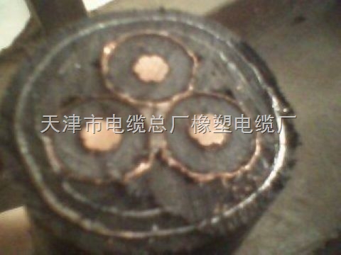 ؑcYJV228.7/15KV3*35߉|